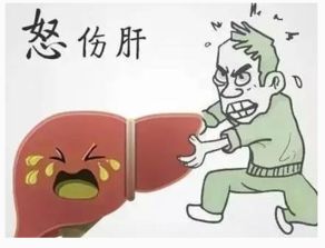 经常生气对身体有什么坏处 