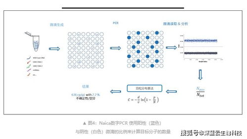 一文知晓PCR,定量PCR,数字PCR方法选择