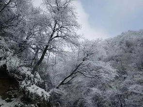 光雾山素颜照曝光,才知道雪后的山河有多美 