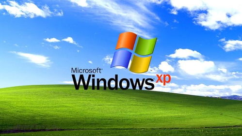 为什么现在还有人在用 Windows XP