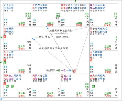 紫微斗数 位法位,同类宫职间的交感