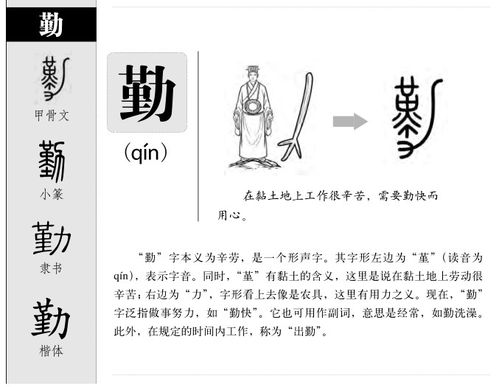 勤的意思 勤字五行属什么 勤字取名的寓意 