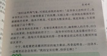 以 背影 为题写一篇650字作文 谁写得好,就采纳谁,不求速度 要注重细节描写,要真情实感 