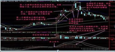 股票不够1000股的，10股送10股的时候是不是就没有分红