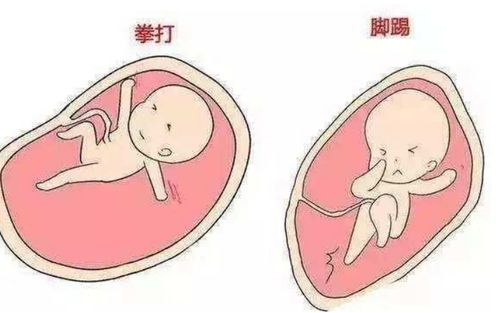 原创孕妈肚子的3个“变化”，可能和胎儿性别无关，别乱猜了