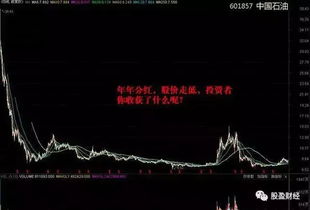 请通俗解释一下上市公司不分红为什么投资者还要买它的股票