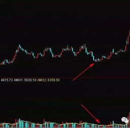 政府为什么在股市大牛的情况下控制,现在却不管不问呢