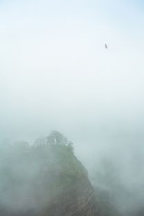 翻越千山万水,只想去看看你 醉人的湖南通道 