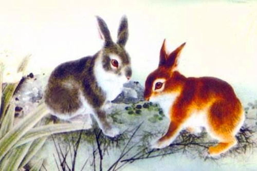 属兔的朋友 何时开始享清福 1975年45岁的生肖兔来看看