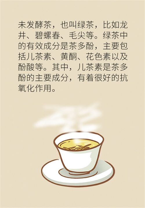 「喝茶的好处与坏处」喝茶的好处与坏处免费无弹窗,喝茶的好处与坏处插图3