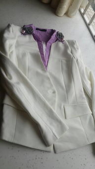 有领子的小西装,上衣已经两个颜色了,里面应该怎么搭配 还有,我想问,衣服是不是好难看 没有紫色领子 