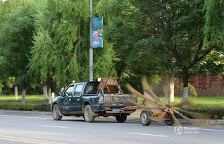 甘肃平凉现扫马路 神器 九把扫帚不停旋转 