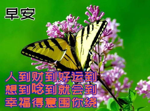 3月2日春天早上好动图表情包图片带字,春天早安问候祝福语图片大全动图2022