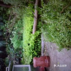 羊台山森林公园停车场收费吗(深圳市羊台山公园停车场收费标准)