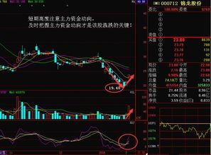 国阳新能这个股票的走势会咋样？