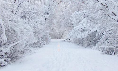 小雪节气步入尾声 提早认识大雪节气