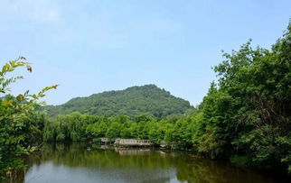 盘点台州路桥区适合新年登高的各色山峰美景