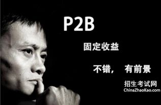 p2b理财公司排名