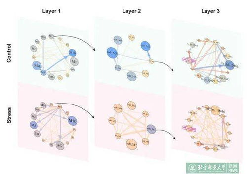 构思草图词语解释图片大全-绘制草图不同方式的原理？