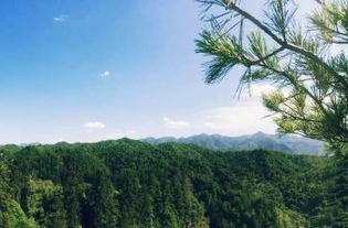 甘肃定西莲峰山