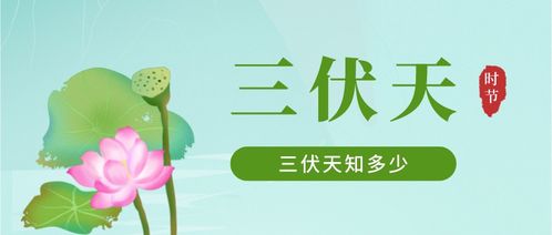 加长版 三伏来了 这些三伏知识你可知