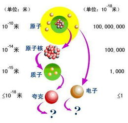 质子，中子，电子，细胞，体积由大到小如何排列