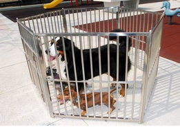 不锈钢宠物笼,宠物笼, 深圳不锈钢狗笼, 狗围栏生产供应商 宠物屋 