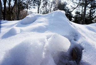 残雪 中关村在线摄影论坛 