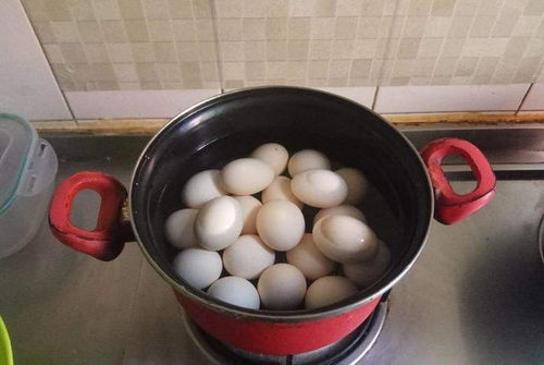 煮鸡蛋,用凉水还是热水 很多人用错了水,难怪很难煮熟,难剥壳