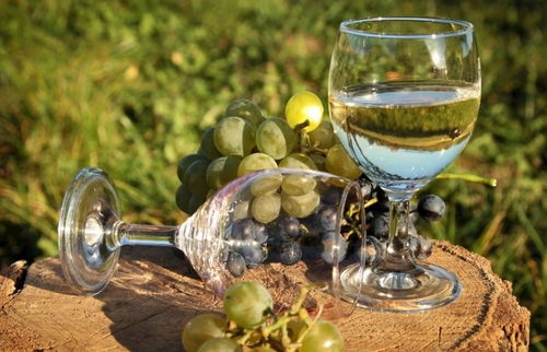 冷知识 葡萄酒中的多酚是什么