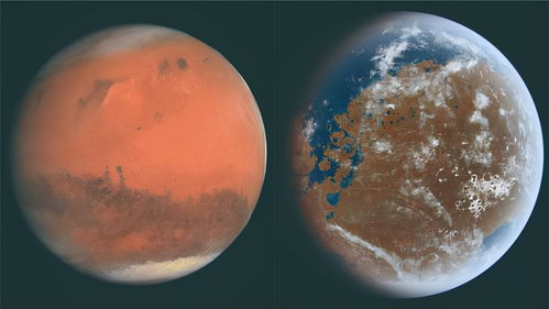 火星金牛和什么火星冲突