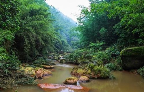 贵州一景区,名字虽土,但颜值很高,距赤水城仅17公里,你去过吗