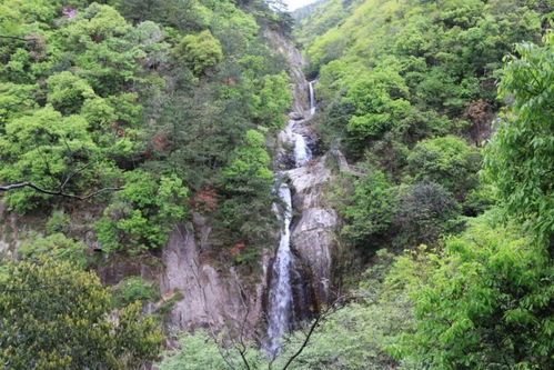 明堂山旅游攻略,如何前往