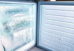 用了10年冰箱,才知道这里有个开关,再也不怕冰箱结冰 桂林人快收藏