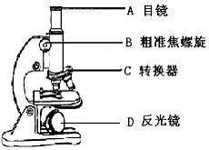 显微镜的目镜和物镜的镜片都是