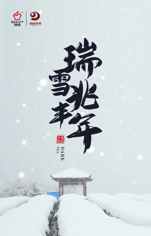 瑞雪照丰年词语解释（瑞雪兆丰年是什么意思？）