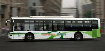 看过迪拜的跑车,你们看过迪拜的公交吗 