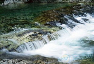 梦见水往上流