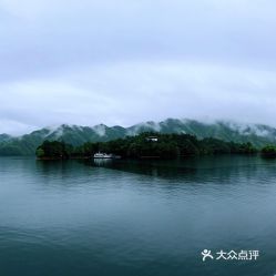 黄山太平湖卖猴魁茶业的在什么地方