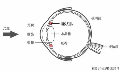 近距离护眼模式,近距离护眼模式：保护您的眼睛免受数字化疲劳