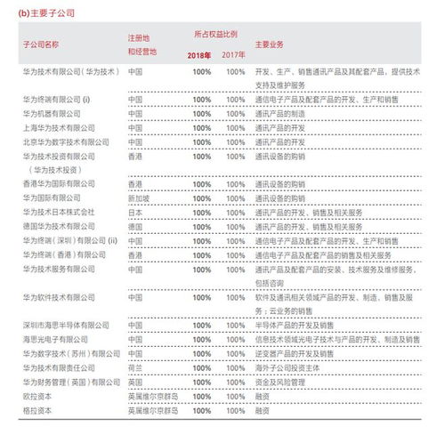 开曼SPC公司注册成功的关键因素(公司注册地在开曼群岛有什么好处)