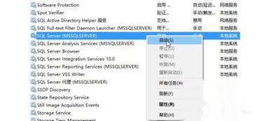 在win10上如何打开realserver