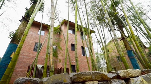 在武汉江夏寻觅一座村庄 老房子装修成酒店,环境比旅游景区还美
