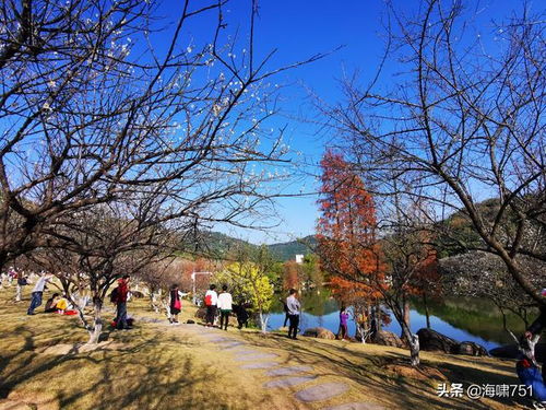 萝岗香雪公园,萝岗香雪公园：广州的绿色休闲胜地