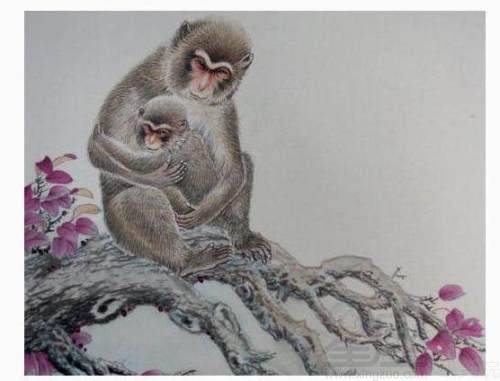 1968年猴女一辈子命运农历8月出生(女属猴68年寿命8月初8运程)
