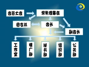 中国电子商务协会企业电子商务应用推进委员会是什么组织机构？