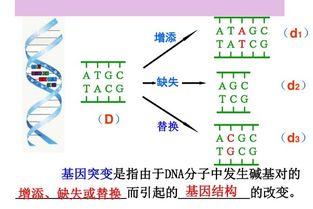 怎么判断某种性状是由单基因突变引起的？and 什么叫单基因突变？