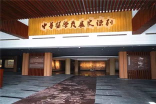 揭秘中医瑰宝，探寻千年传承！上海中医药博物馆，邀您共赴一场文化盛宴！