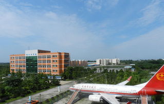 东星航空职业学校：梦想蓝天，成就未来！