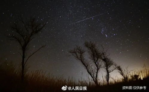 央视评北京野生动物园声明 海口核酸医护背上绑冰棍降温